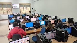 Liceo Scientifico e Linguistico Caminiti-Trimarchi