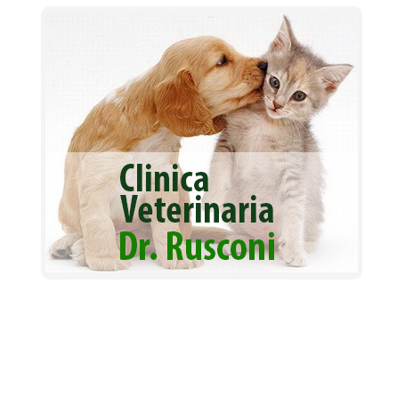 Clinica veterinaria Dott. Rusconi