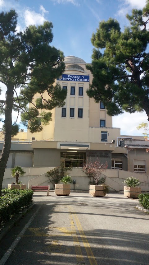 Università degli Studi eCampus Bari