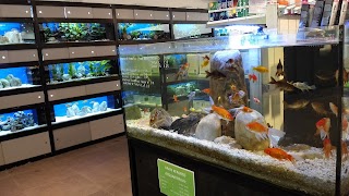 Robinson Pet Shop - Forlì