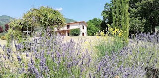 Agriturismo Caprareccia Bianca con piscina in Sabina. 3 appartamenti con cucina nella natura a Casperia vicino Roma.