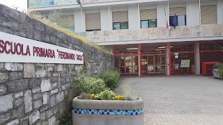 Scuola Primaria Tacoli