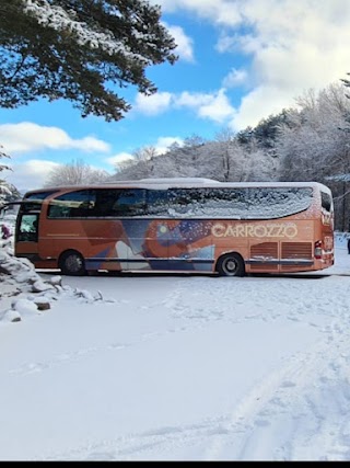 Autoservizi Con Conducente Carrozzo