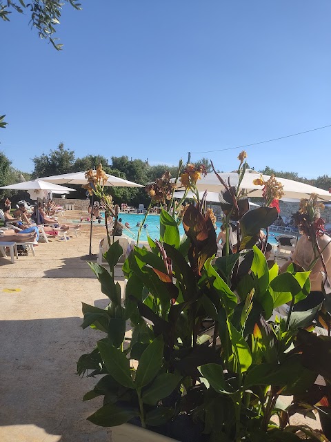 Residenza Aurora - B&B e piscina ad Ostuni sulla strada per Martina Franca