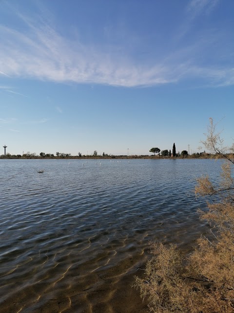 Riserva Naturale regionale Valle Cavanata