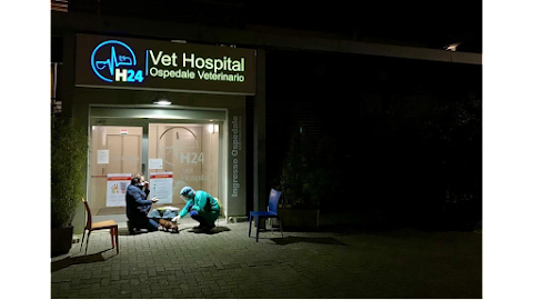 Vet Hospital H24 Firenze