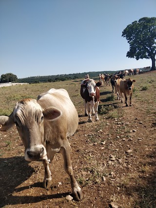 Masseria Corte Masseriola