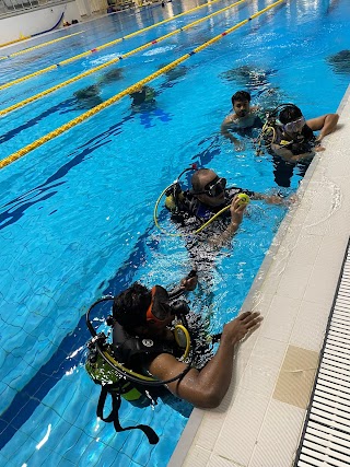 Piscina Monumentale