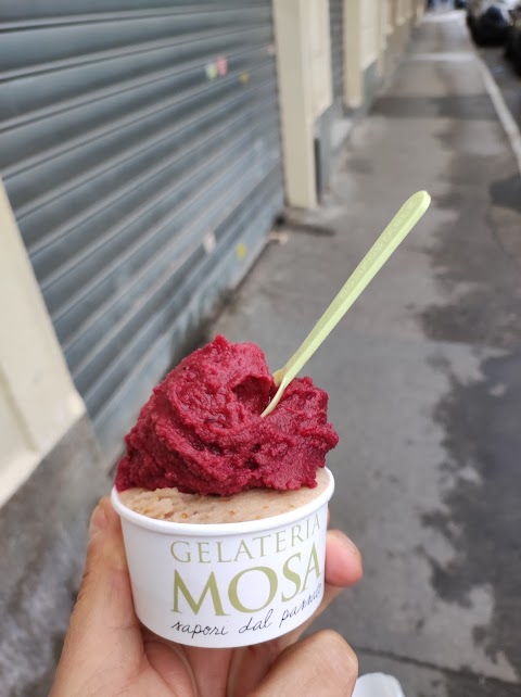 Mosa Gelateria