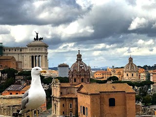 Colazione al Vaticano