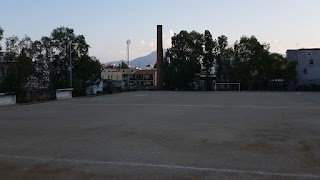 ASD Delfini Sporting Arenella