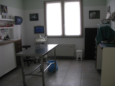 Ambulatorio Veterinario Truzzi Dr. Claudio