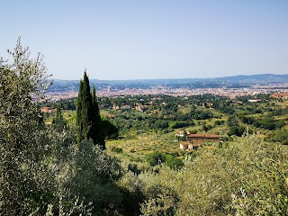 Firenze Careggi