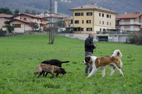 Centro Cinofilo Cerberus