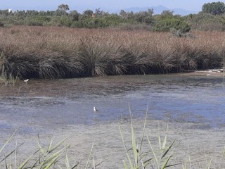 Riserva naturale Foce Volturno - Costa di Licola