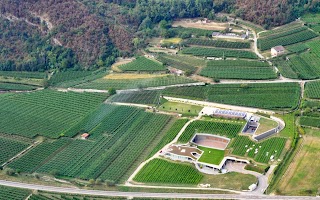 Cantina Mori Colli Zugna