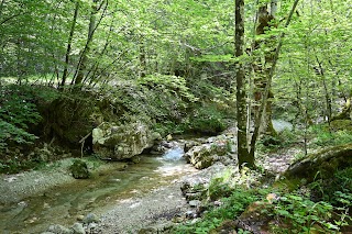 Ecotur Viaggi Natura