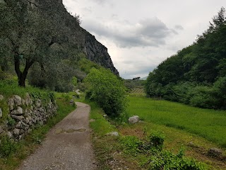 Riserva locale Le Gere