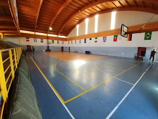 ASD Basket Succivo