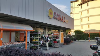 CONAD CITY