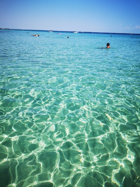 Area naturale marina protetta Porto Cesareo