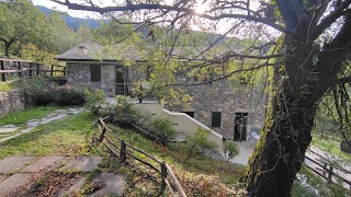 Agriturismo il Mulino