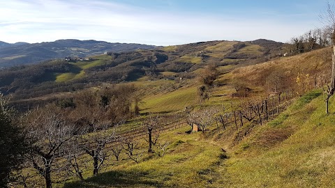 Borgo Castello Samoggia