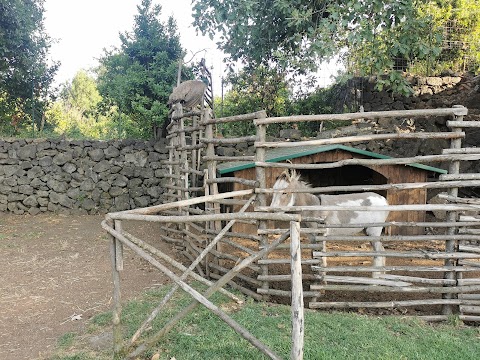 Fattoria Etna Park