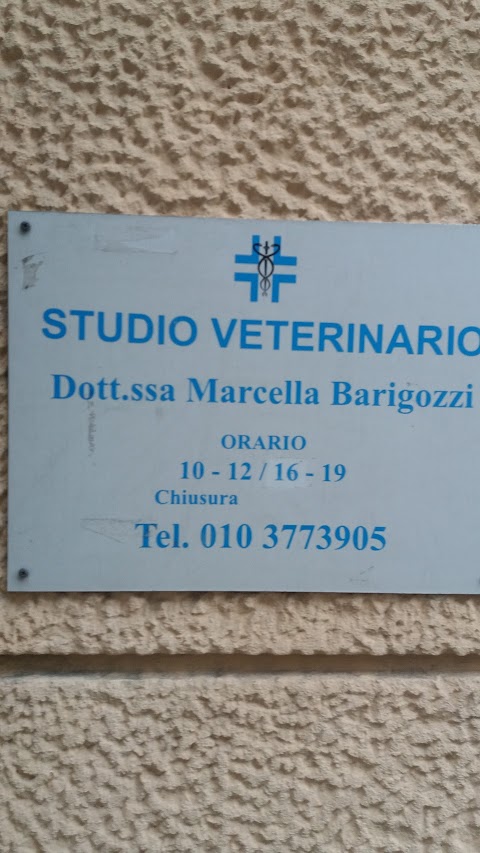 Barigozzi Dr.ssa Marcella