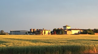 Podere Montizzolo