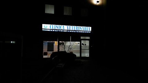 Clinica Veterinaria San Secondo