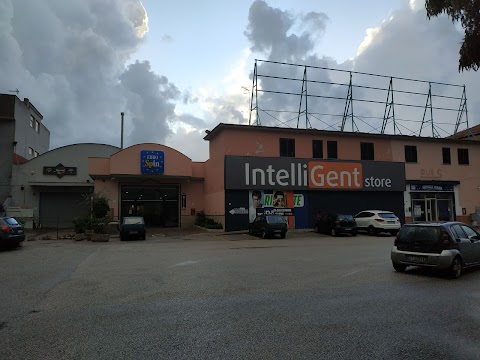 The Intelligent Store