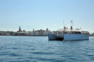 Sud Adriatico Navigazioni