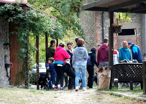 Pensione per Cani Arcobaleno Bologna