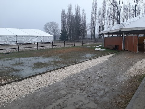 A.s.d. Martù, scuola di equitazione