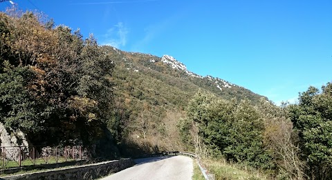 Monte Sassosano