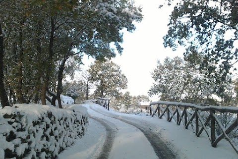 Etna Holiday House