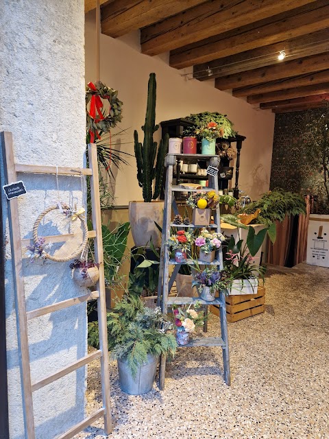 Frida's Bassano | Italian Flower Stores