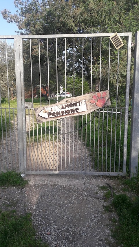 Pensione Cani e Gatti San Martino di Porres