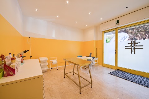 Vetcompanion Veterinario Torino