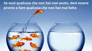 Psicologa Dott.ssa Anna Maria Manicone - Psicoterapia Breve Strategica e Mediazione familiare Matera