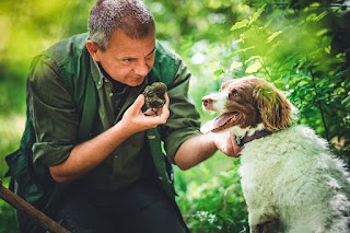 Truffle in Tuscany - Truffle Hunting Experience