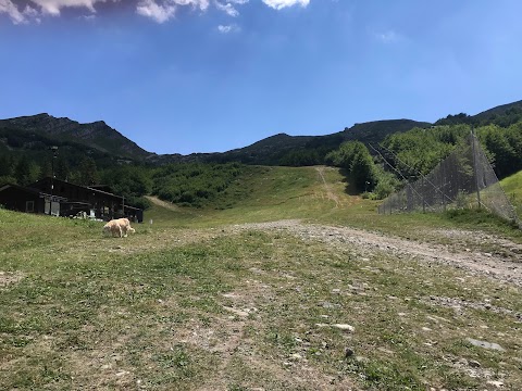 Scuola Italiana Sci Val di Luce