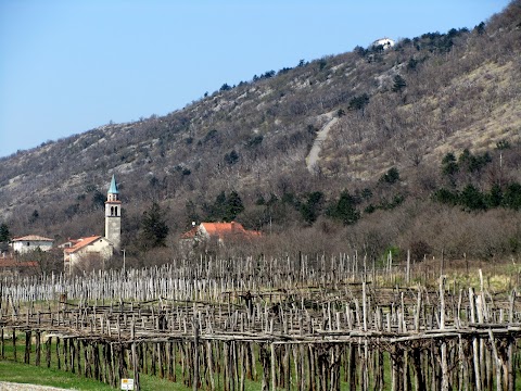 Turistično društvo Brest Brestovica pri Komnu