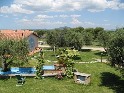 Agriturismo Il Borgo Degli Ulivi