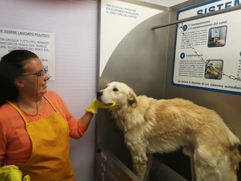 Wash Dog Firenze Novoli