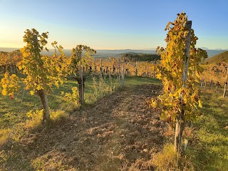 Alta Via Dei Colli Euganei