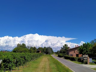 AZ. Agricola Rensi Stefano - Le vigne del Muraglione