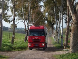 Trasporti Ippici Pieraccini