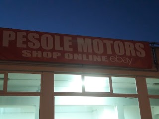 Pesole motors srl